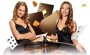 655bet7 655bet7